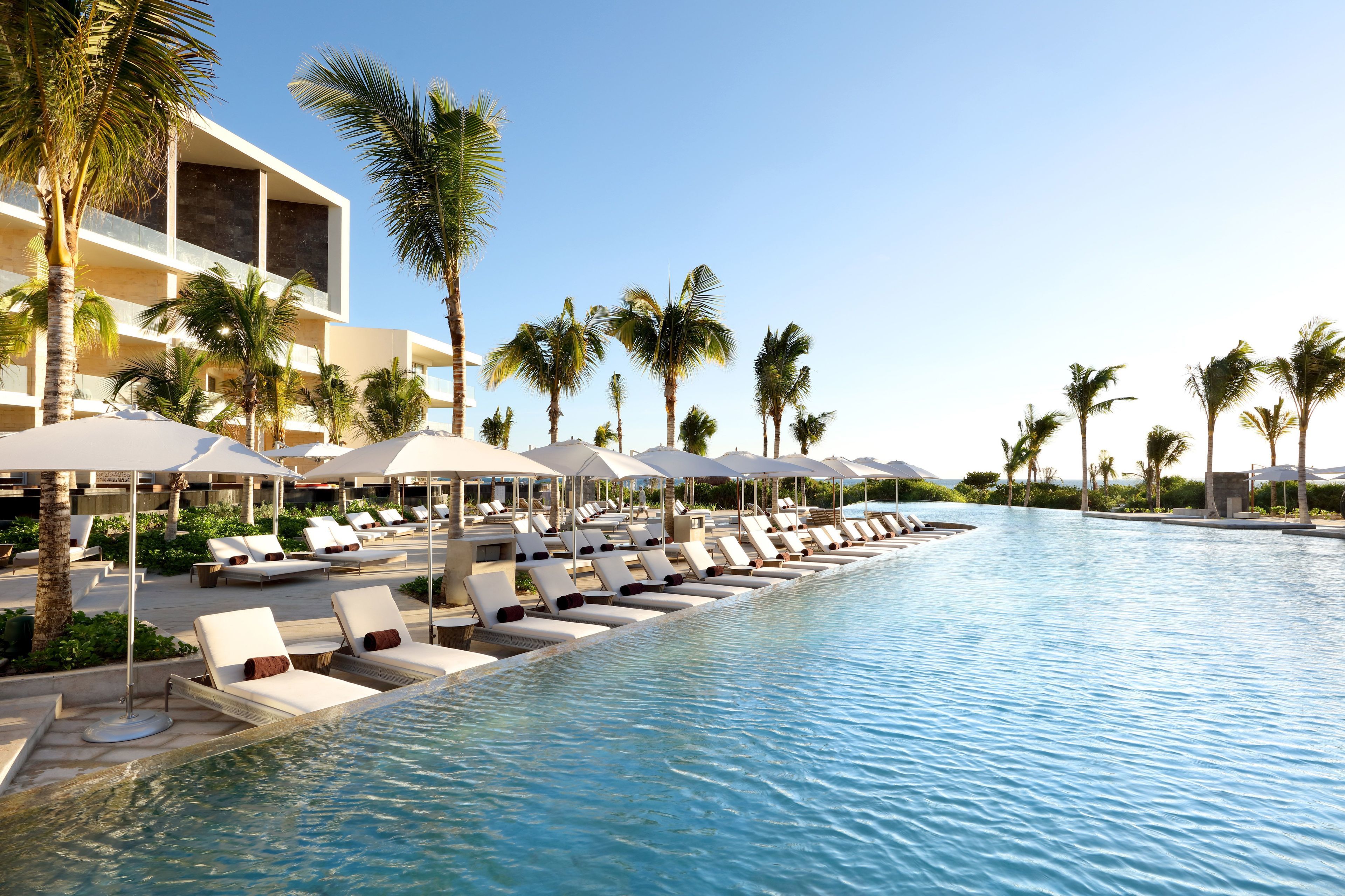 A poolside area with lounge chairs and umbrellas, surrounded by palm trees and a modern building.