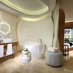 Separate tub and shower, jetted tub, rainfall showerhead