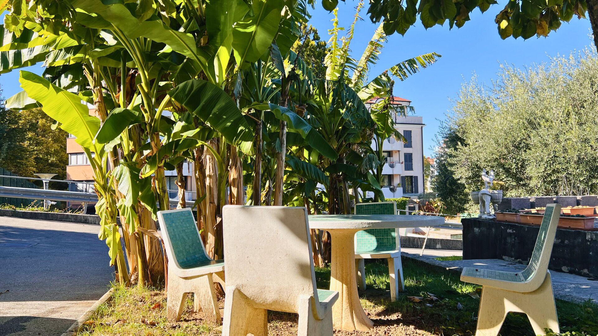 Outdoor seating with a table and chairs, surrounded by banana trees and a building in the background.