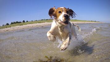 Am Strand, Liegestühle