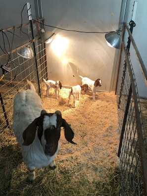 Billede uden beskrivelse, 4 af 43, knap