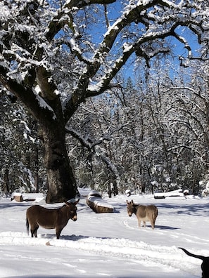 Billede uden beskrivelse, 2 af 43, knap