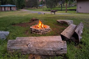 A fire pit surrounded by logs, a wooden bench, and a donkey in a grassy area with a basketball hoop and shed in the background. - Family Friendly Farm Stay Near Yosemite (Mariposa)