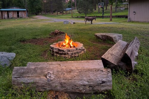 Family Friendly Farm Stay Near Yosemite