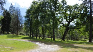 A gravel path leading through a wooded area with tall trees and green grass. - Family Friendly Farm Stay Near Yosemite (Mariposa)