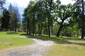 Property grounds - Family Friendly Farm Stay Near Yosemite (Mariposa)