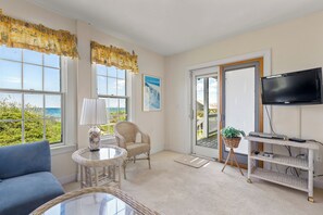 TV, fireplace, DVD player, books