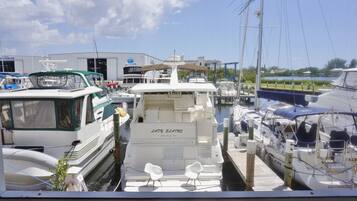 A marina with various boats docked, including a boat named "Lady Elamore."