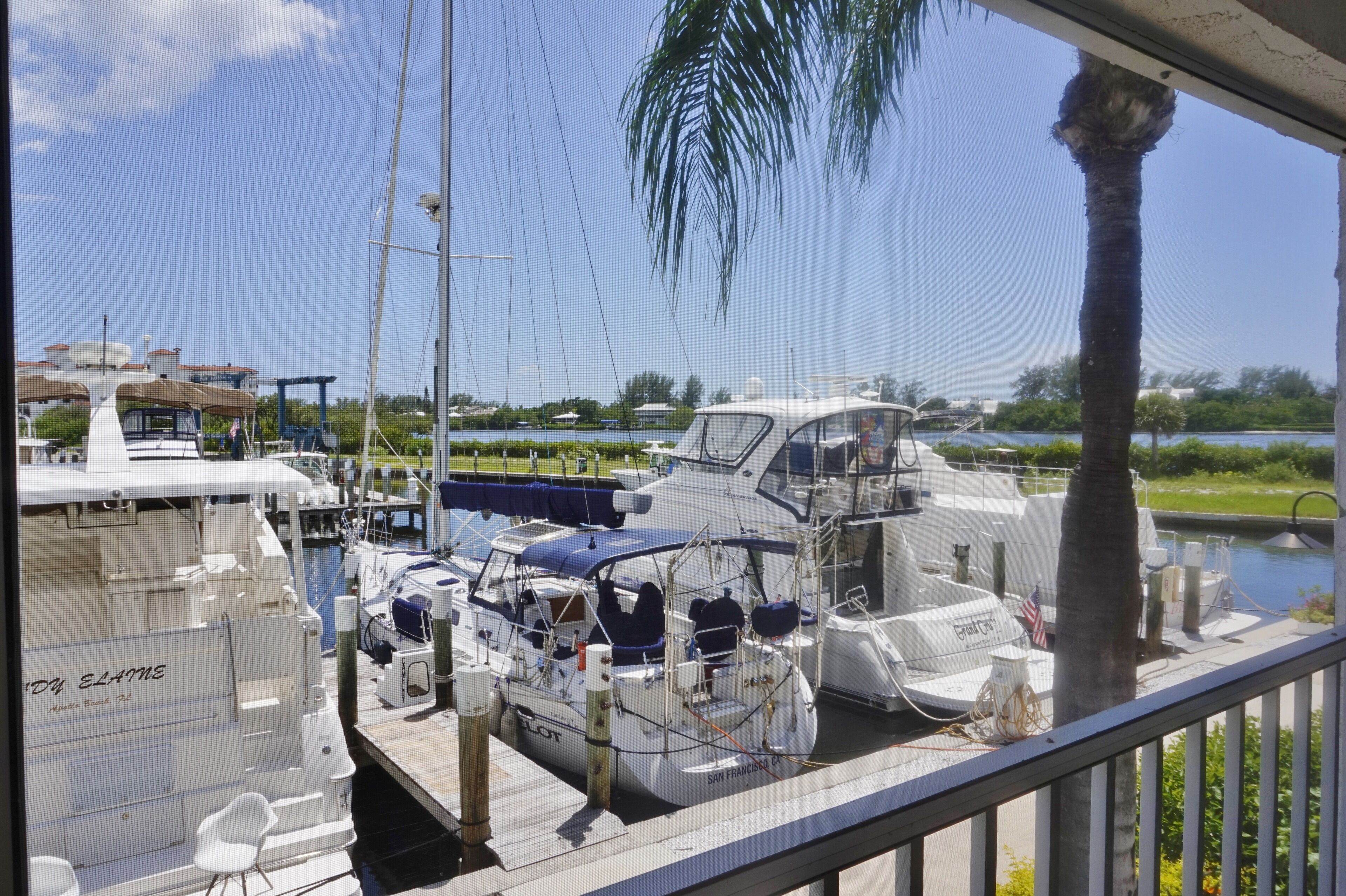 A marina with boats docked, a clear sky, and a palm tree.