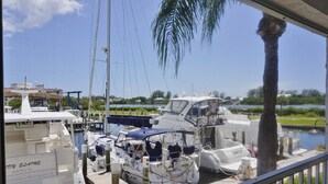 A marina with boats docked, a clear sky, and a palm tree.