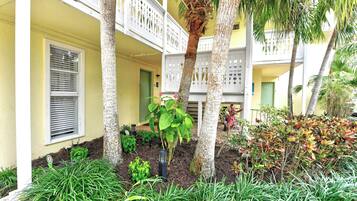 Terrain de l’hébergement