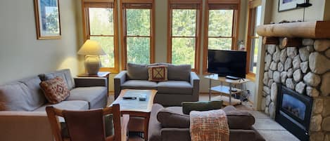 TV, fireplace