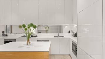 Fridge, stovetop, toaster, cookware/dishes/utensils