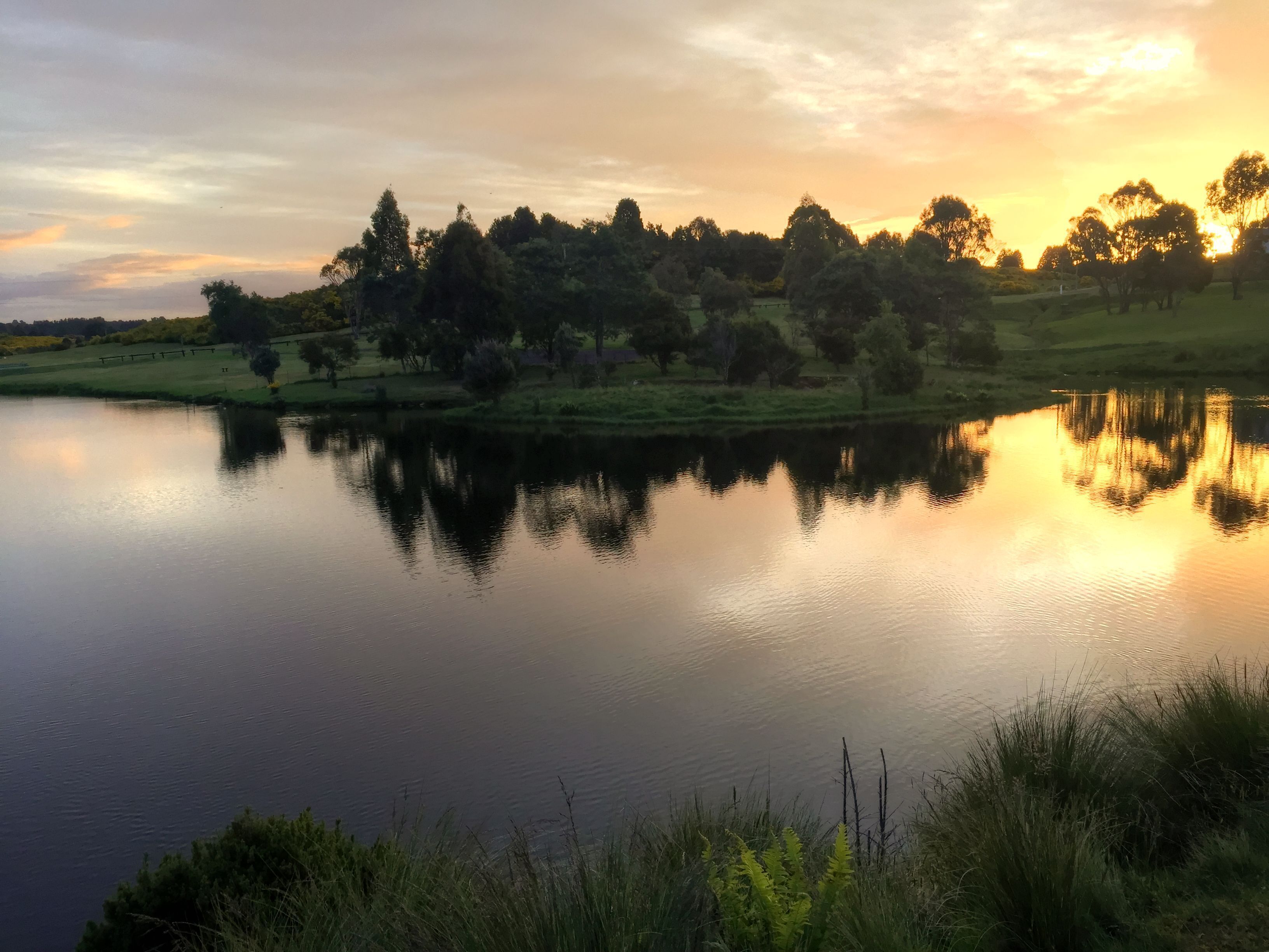 The Burrow - Waratah.  Picturesque town near Cradle Mountain and Tarkine — image 7