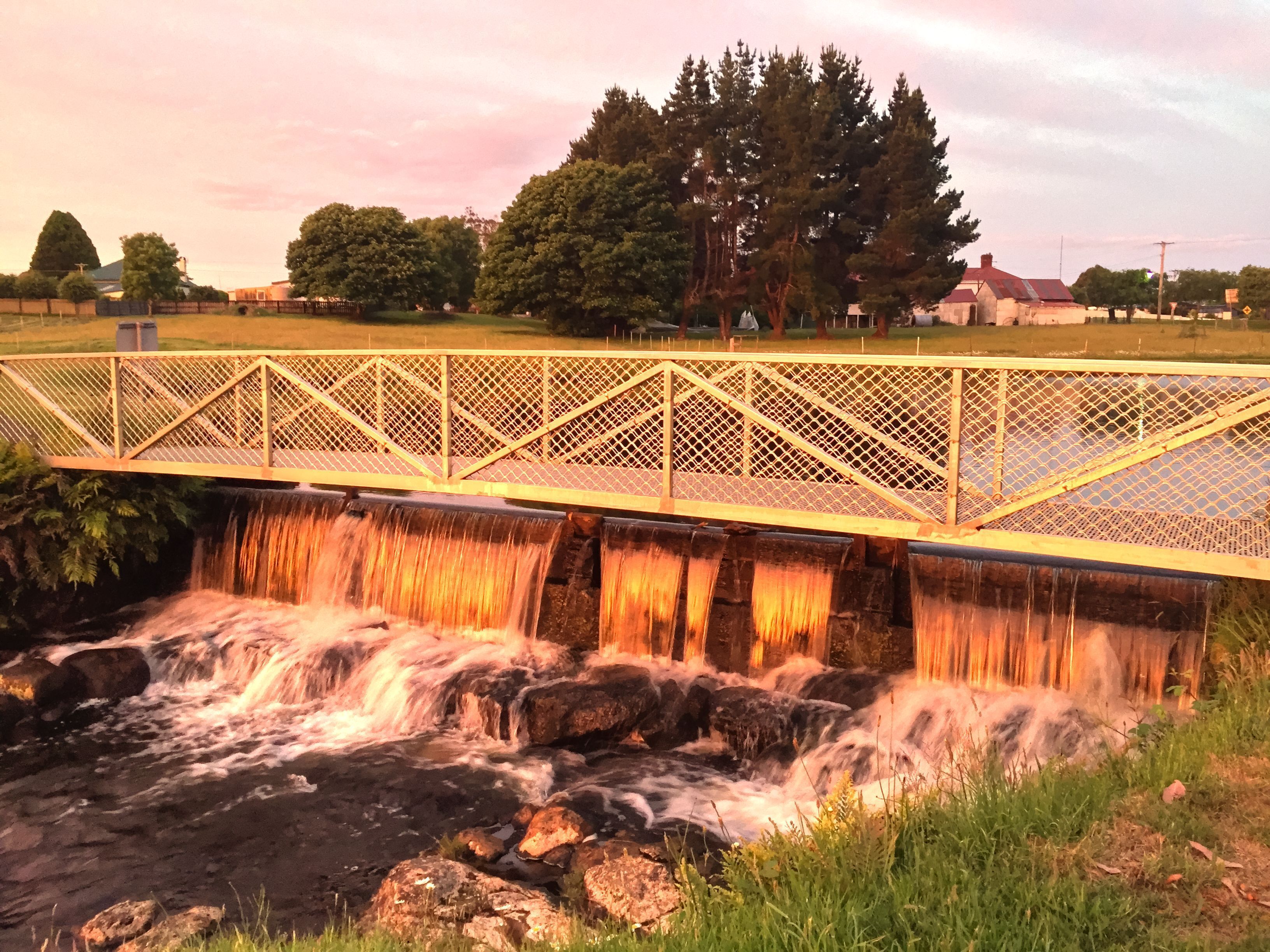 The Burrow - Waratah.  Picturesque town near Cradle Mountain and Tarkine — image 12