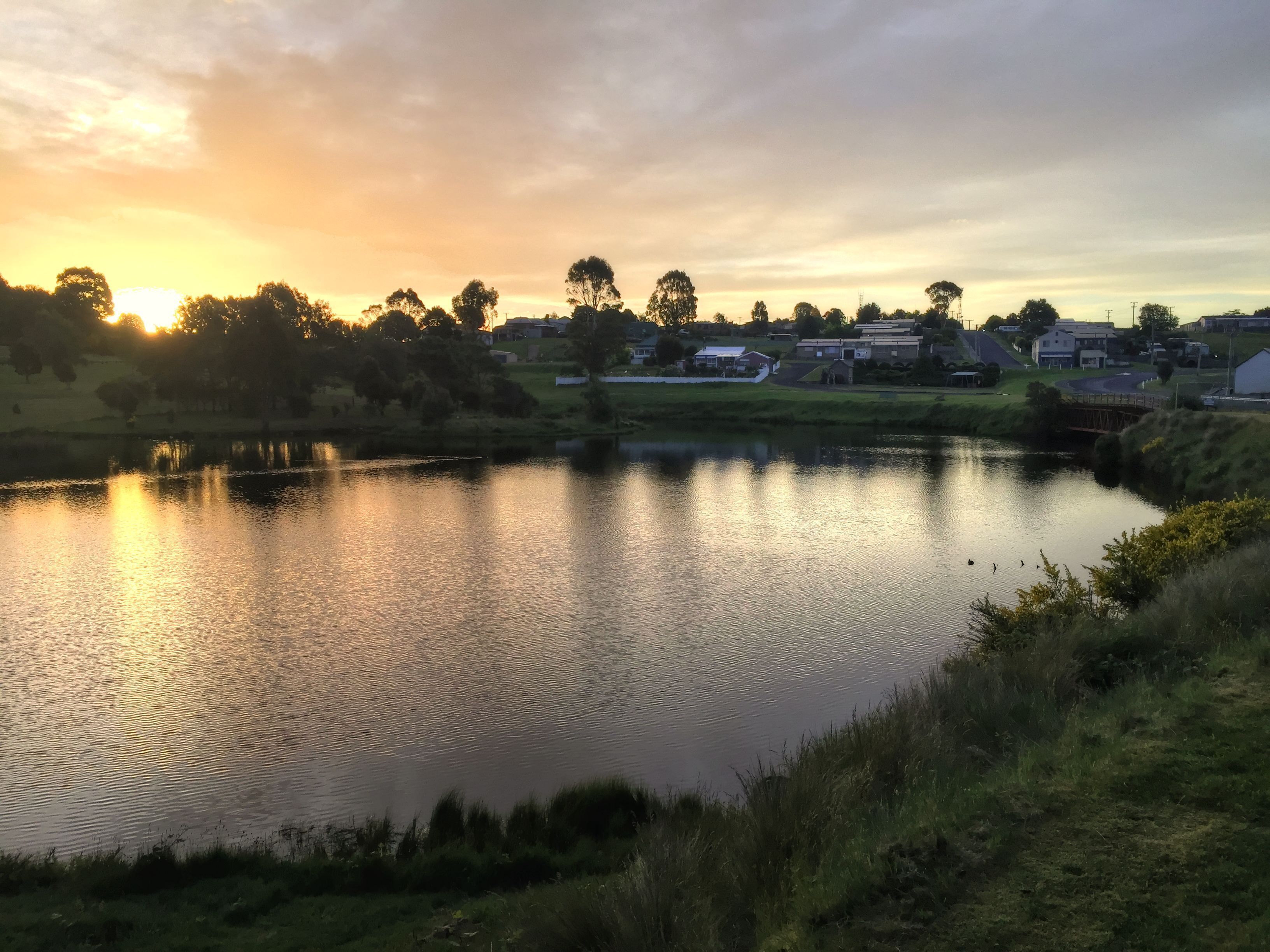The Burrow - Waratah.  Picturesque town near Cradle Mountain and Tarkine — image 25