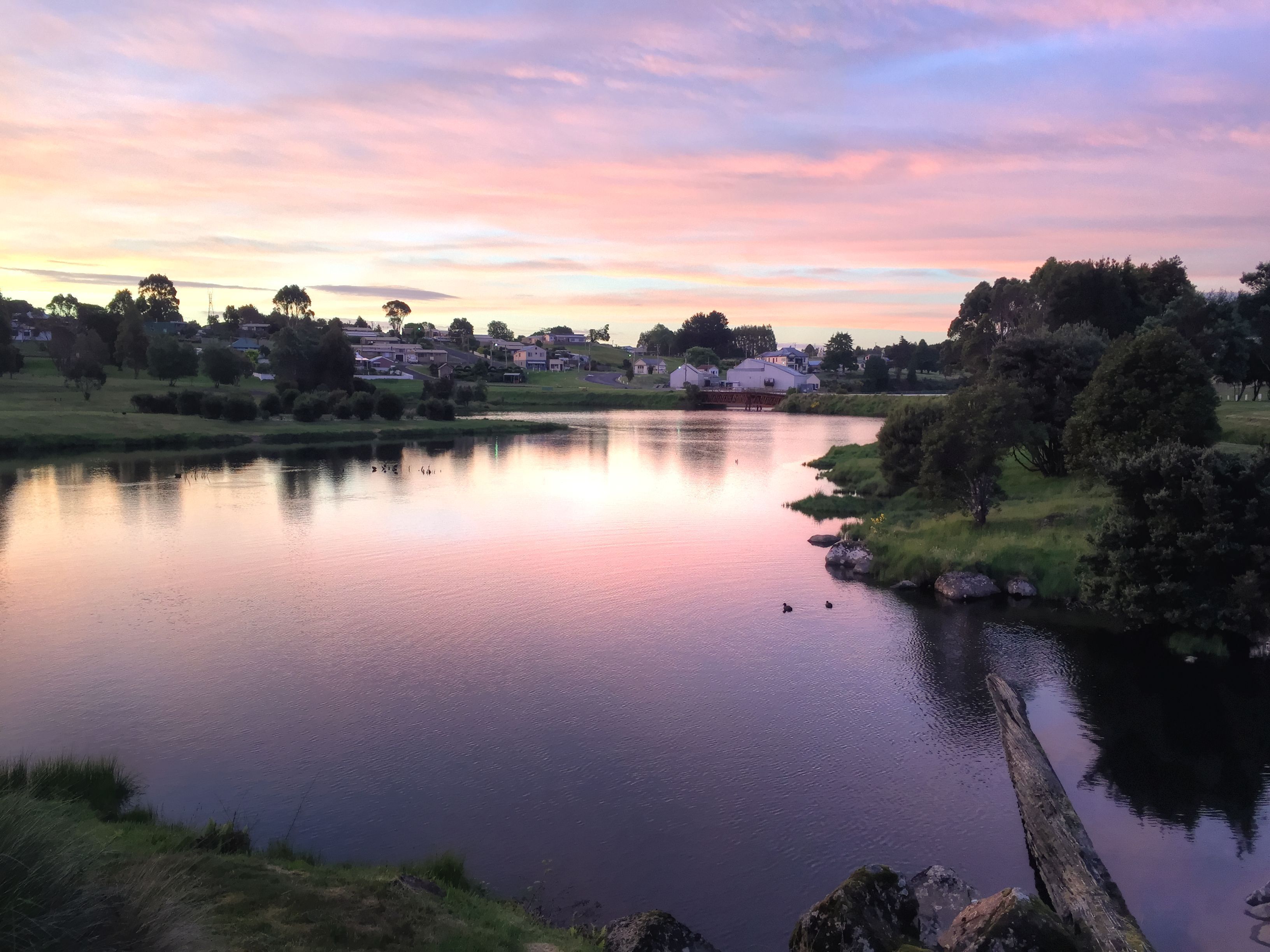 The Burrow - Waratah.  Picturesque town near Cradle Mountain and Tarkine — image 10
