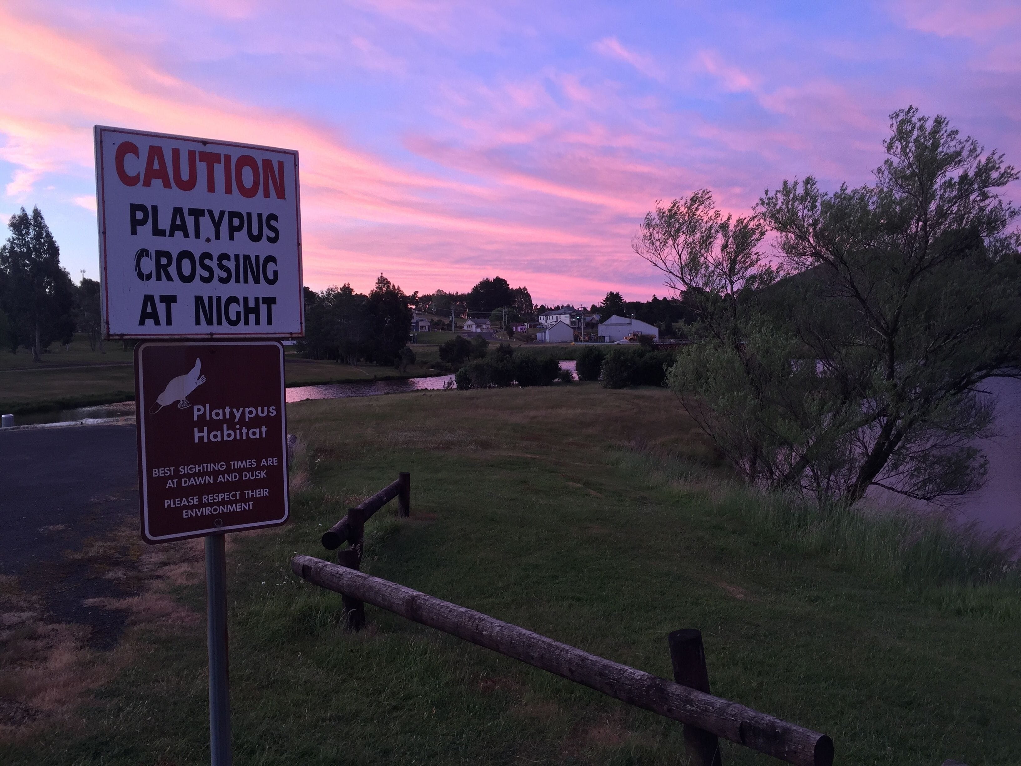 The Burrow - Waratah.  Picturesque town near Cradle Mountain and Tarkine — image 28