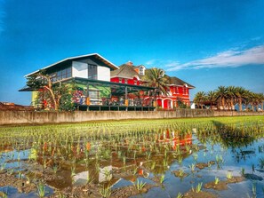 Vue depuis l’hébergement