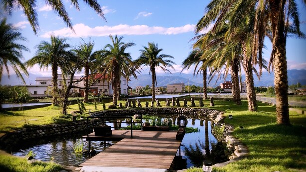 Un jardín tranquilo con un puente de madera sobre un estanque, rodeado de palmeras y un camino de piedra.