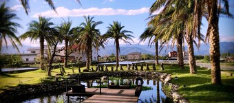 MiCarro B&B