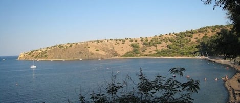 Vlak bij het strand