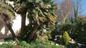 Un bâtiment avec un palmier au premier plan et un ciel bleu clair en arrière-plan.