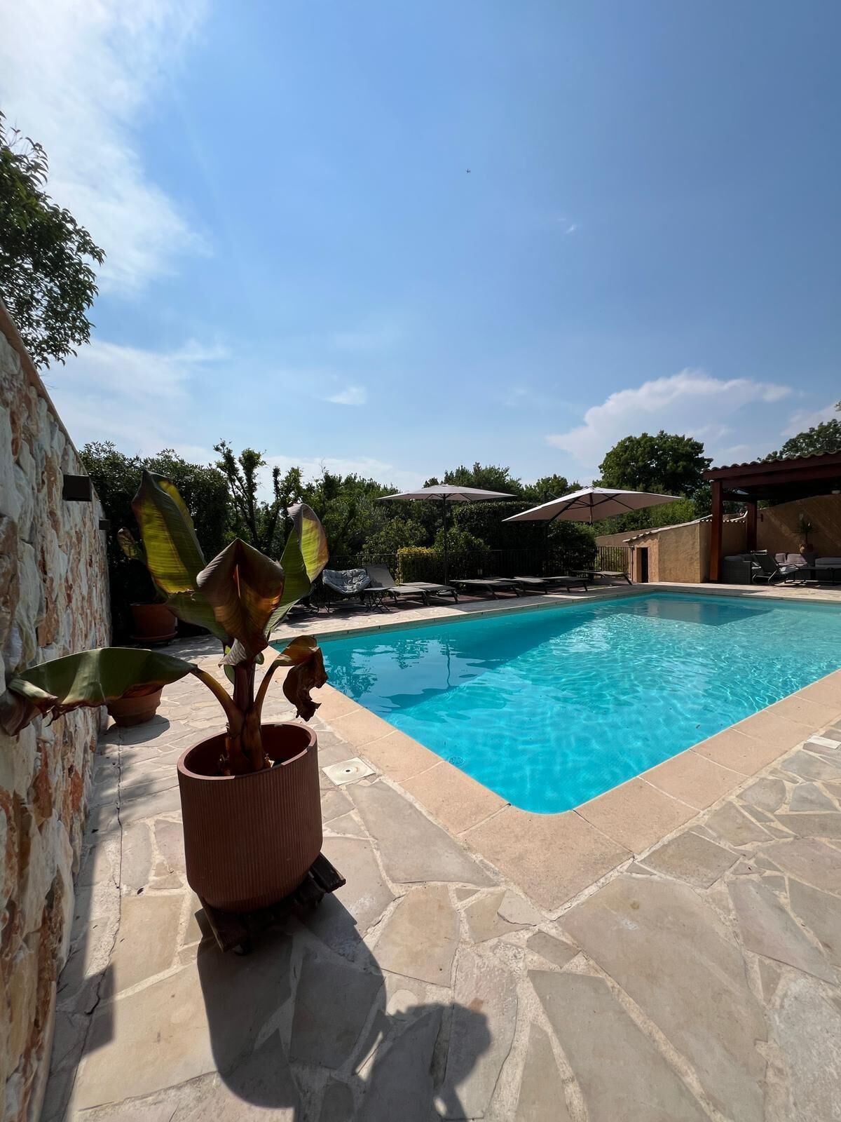 A swimming pool with stone tiles, a potted plant, and outdoor furniture.