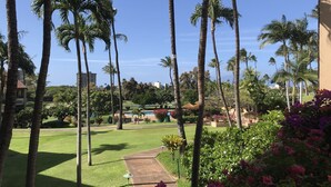 A view of a well-maintained garden with palm trees, a pathway, and a pool area. - Ocean & golf views , watch amazing sunsets over Lana'i- J301 2/2 Sleep up to 7 (Lahaina)