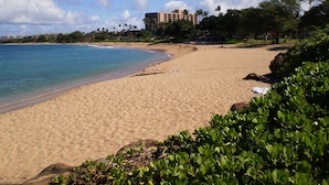 A sandy beach with clear blue water, palm trees, and a building in the background. - Ocean & golf views , watch amazing sunsets over Lana'i- J301 2/2 Sleep up to 7 (Lahaina)