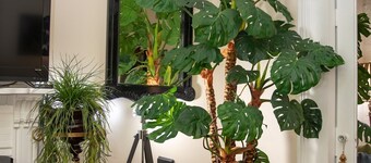 It’s about Location 1.4 miles French Quarter & 3 blks to Chartres St & MS River