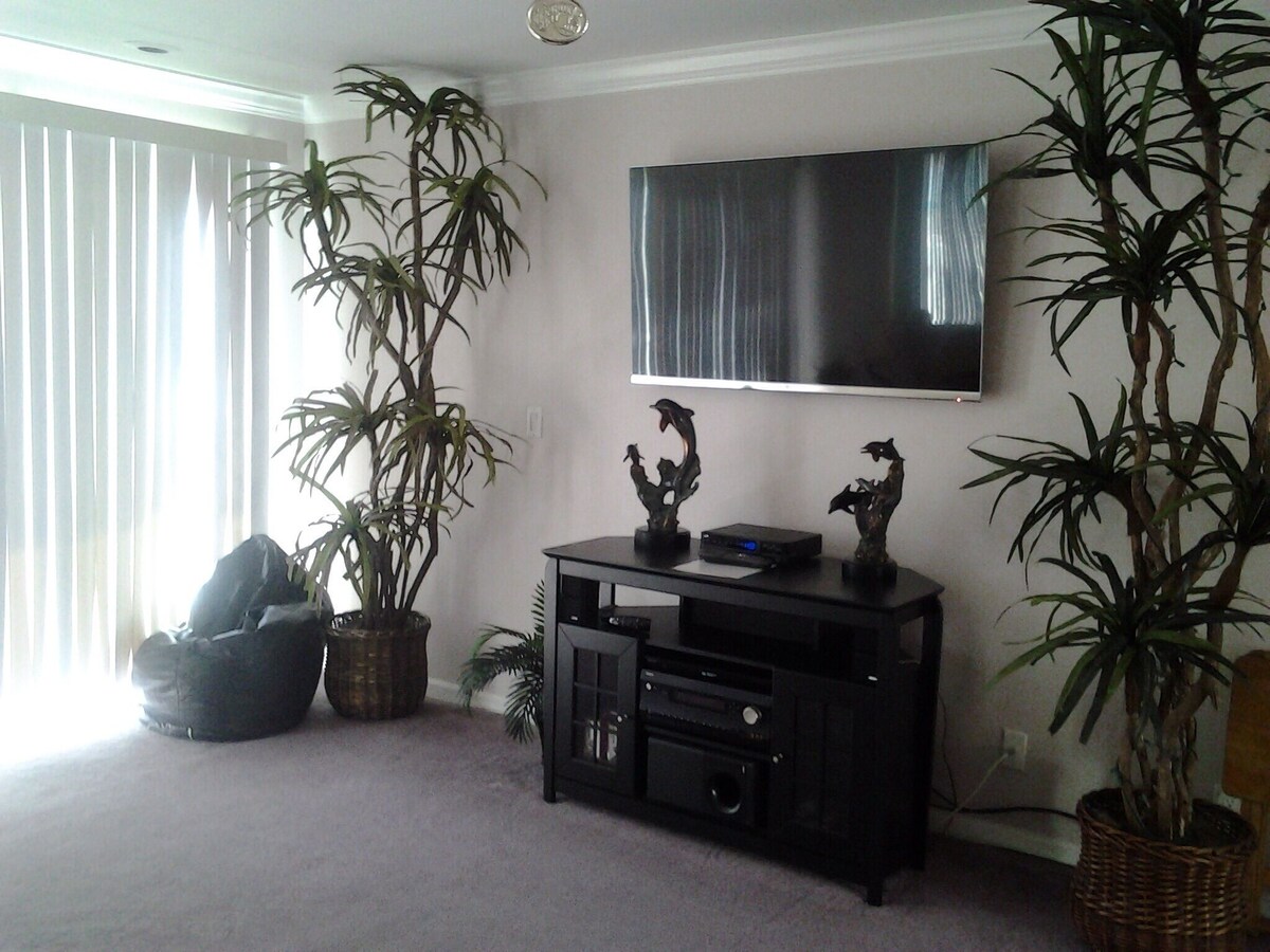 Photo 13 of Stay directly on the beach! Fall Weather! Book today.. Amazing views!!