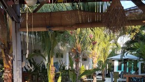 A courtyard with a tiled floor, a bicycle, and various plants. - Palm Trees Villas (Gili Air)
