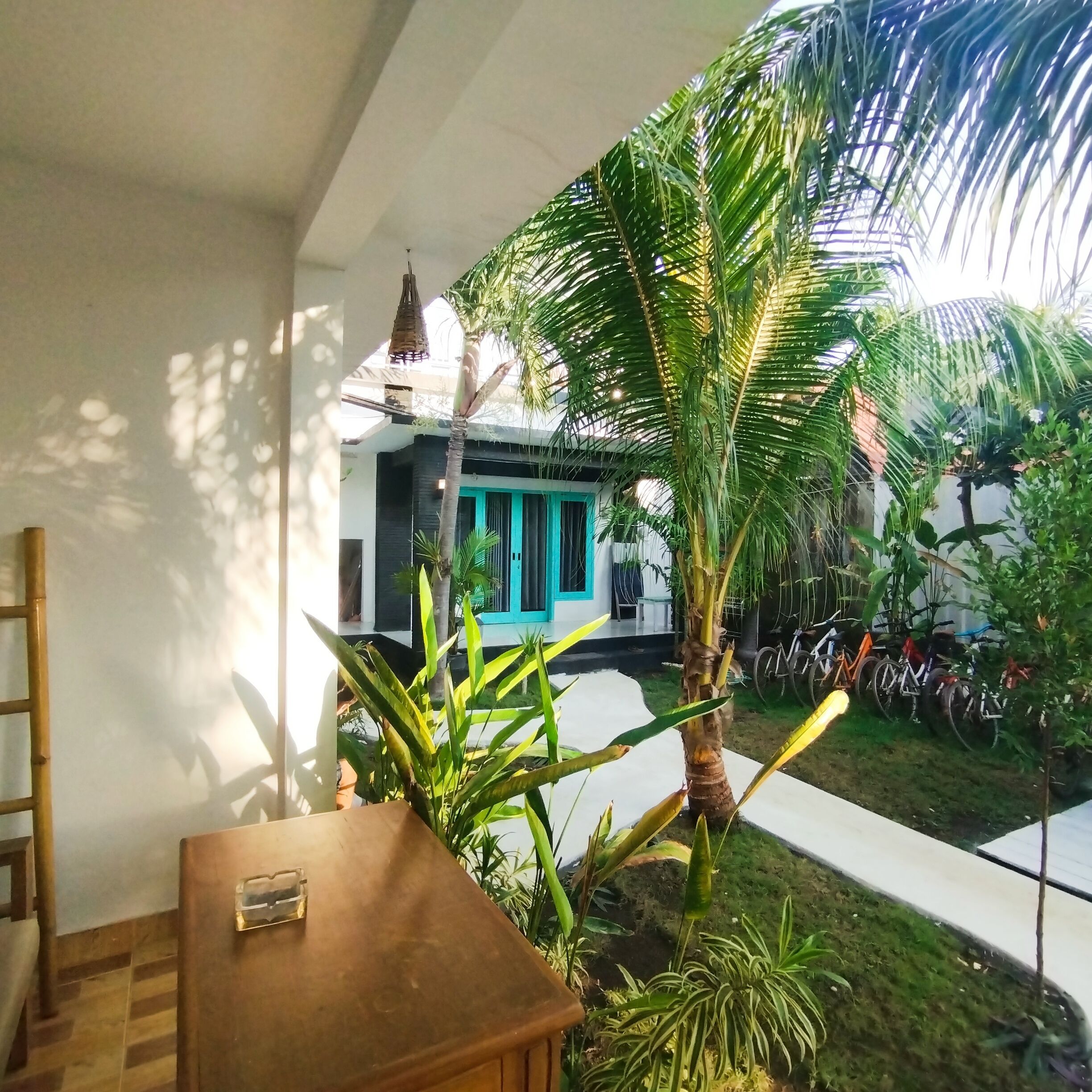 Photo - Palm Trees Villas