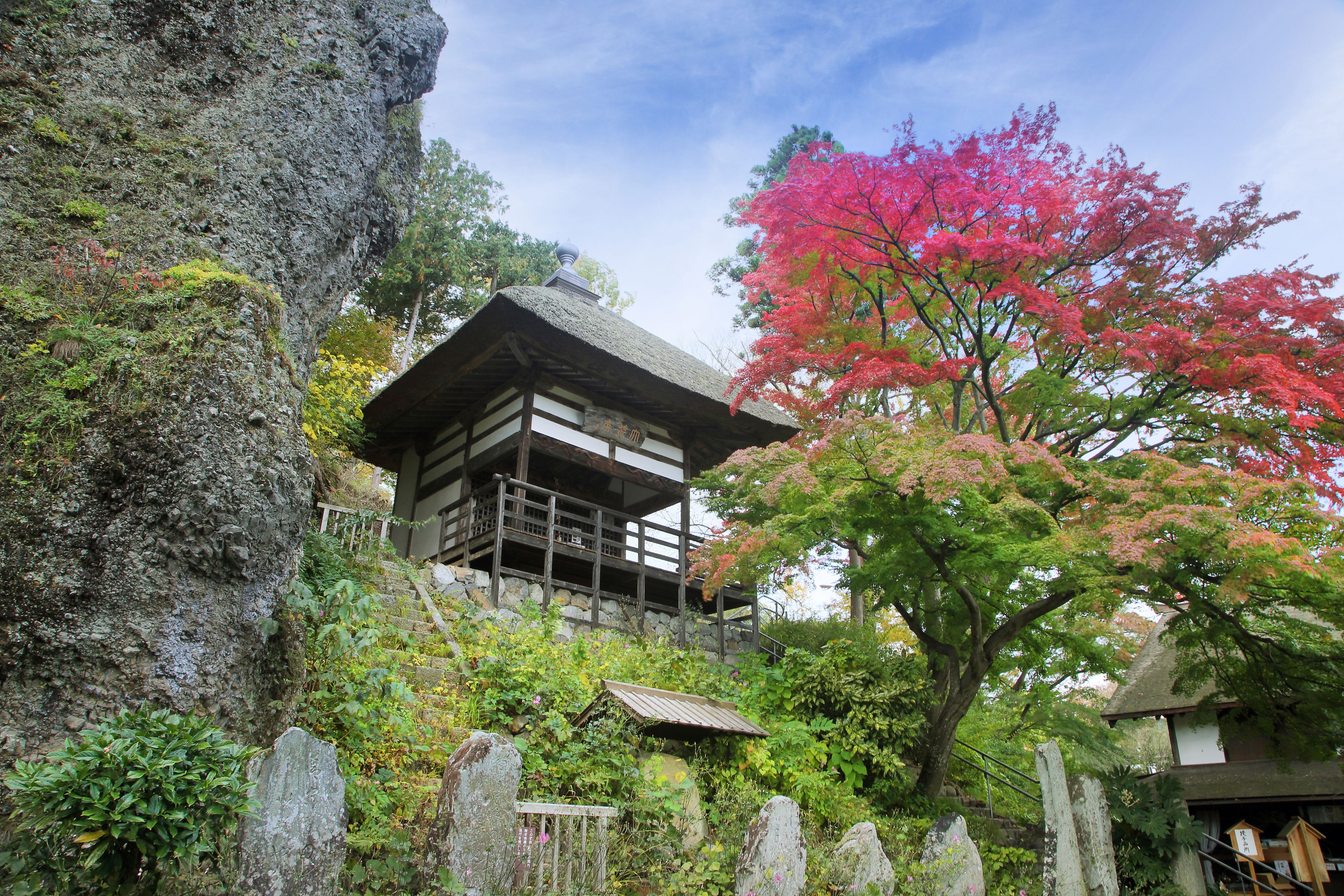 Un bâtiment japonais traditionnel, doté d’un toit de chaume, entouré d’une végétation luxuriante et agrémenté d’un grand arbre à fleurs rouges qui se distingue.