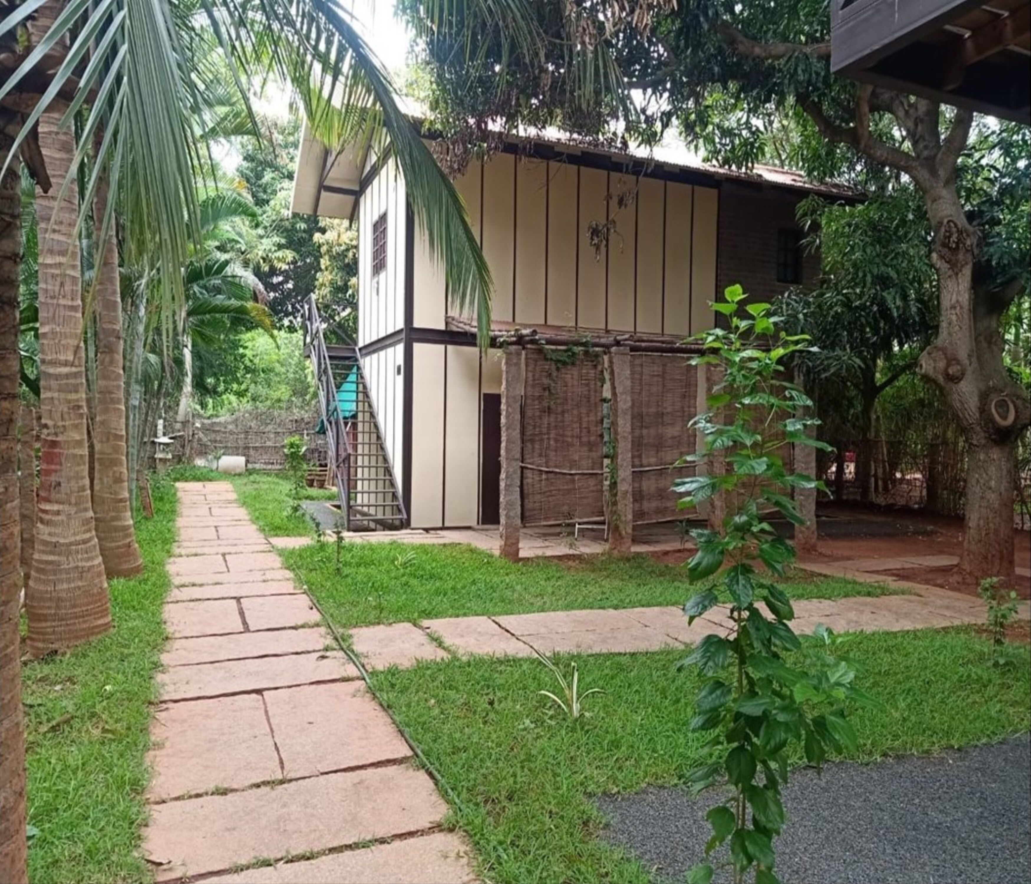 A pathway leading to a building with a staircase and a small garden area with grass and a few plants.