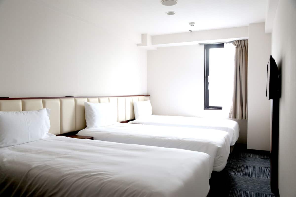 Habitació d'hotel amb dos llits, un televisor de pantalla plana penjat a la paret i una finestra amb cortines.