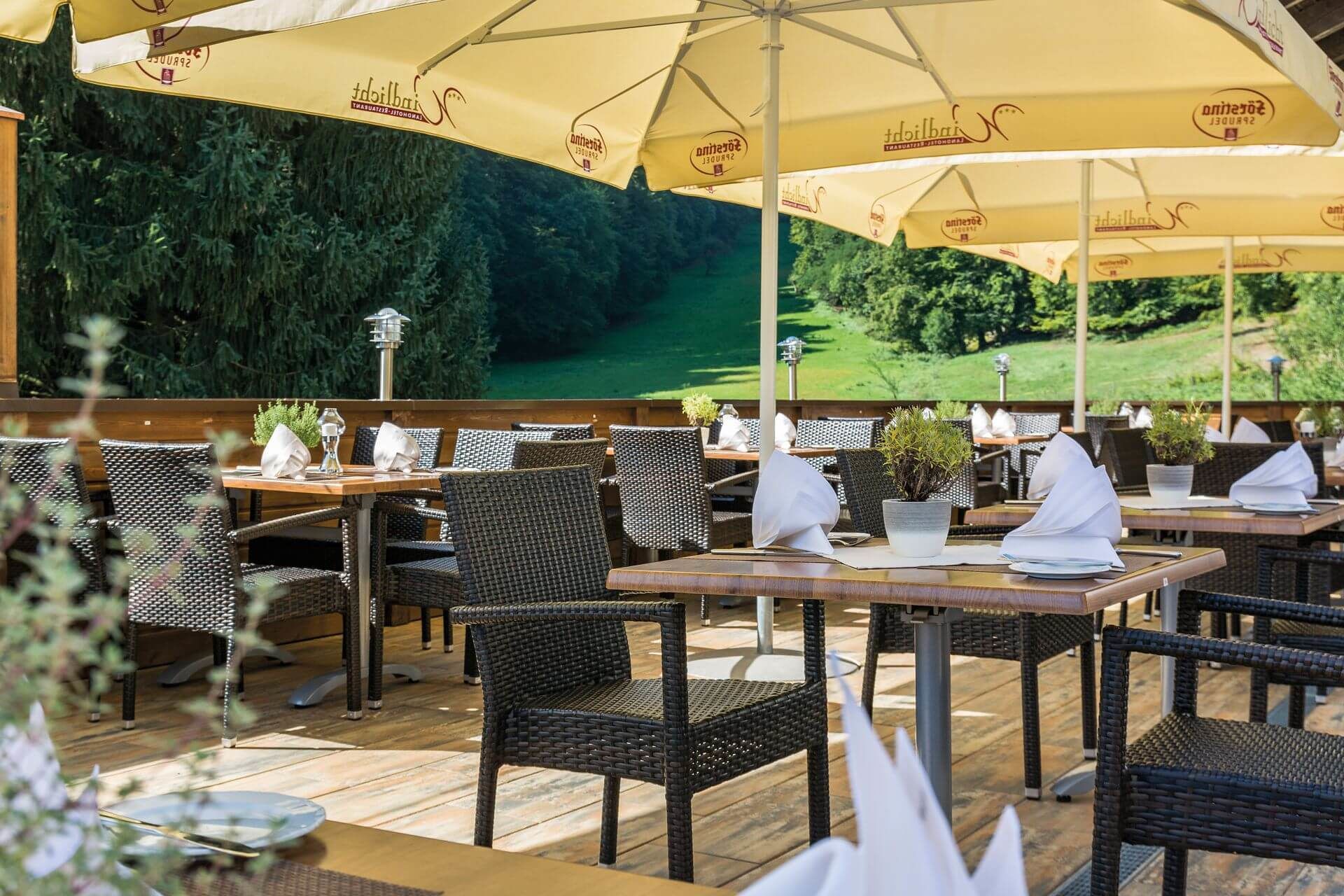 international cuisine