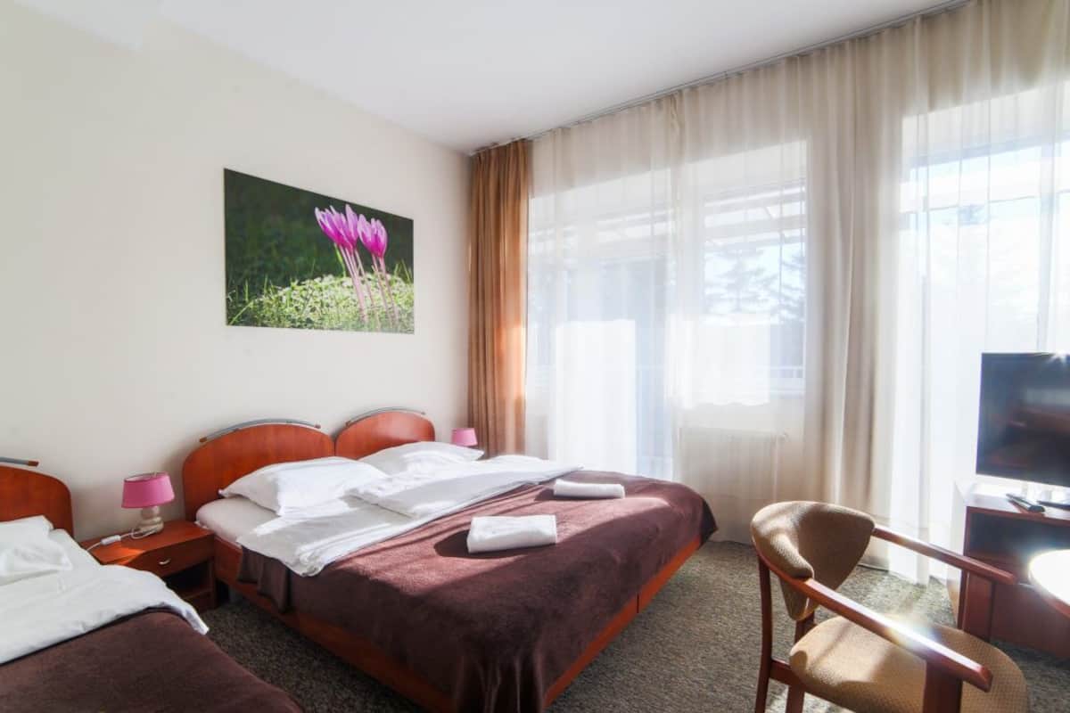 Ein Hotelzimmer mit einem Bett, einem Sessel, einem Fernseher und einem Blumenbild an der Wand.