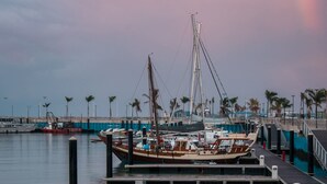 Un puerto deportivo con barcos amarrados, un muelle de madera y palmeras al fondo.