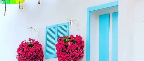 Entrada de la propiedad