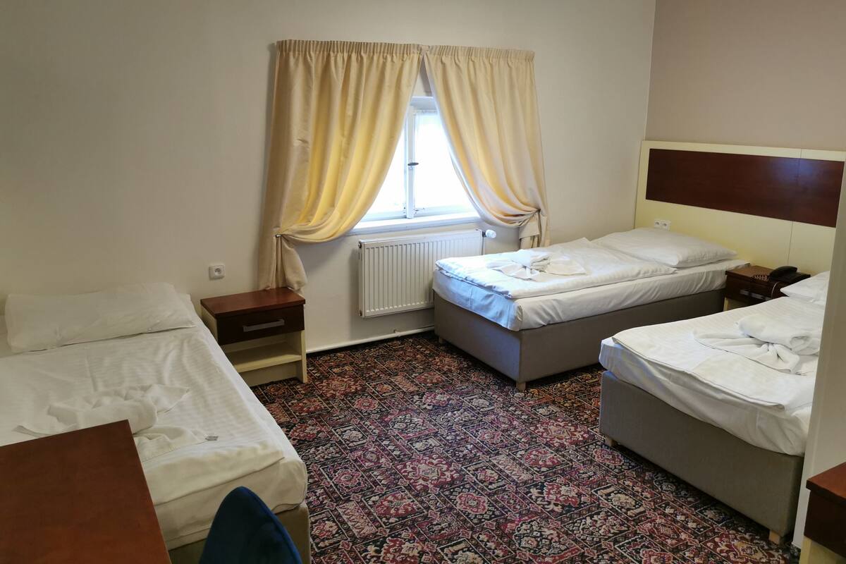 A hotel room with two single beds, a small bedside table with a lamp, a window with curtains, and a patterned carpet.