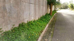 Utsikt från boendet