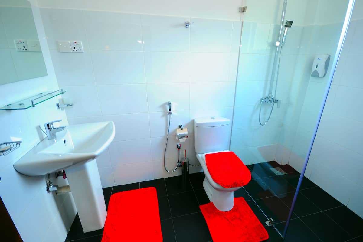 Deluxe Double Room | Bathroom | Shower, free toiletries, hair dryer, slippers