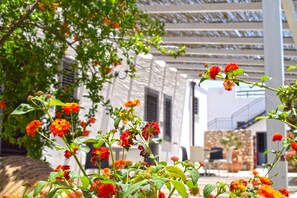 Juniorsvit (Le dimore)