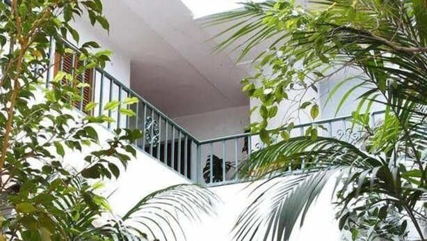 Un área de recepción con una escalera que conduce a un piso superior, rodeada de exuberante follaje.