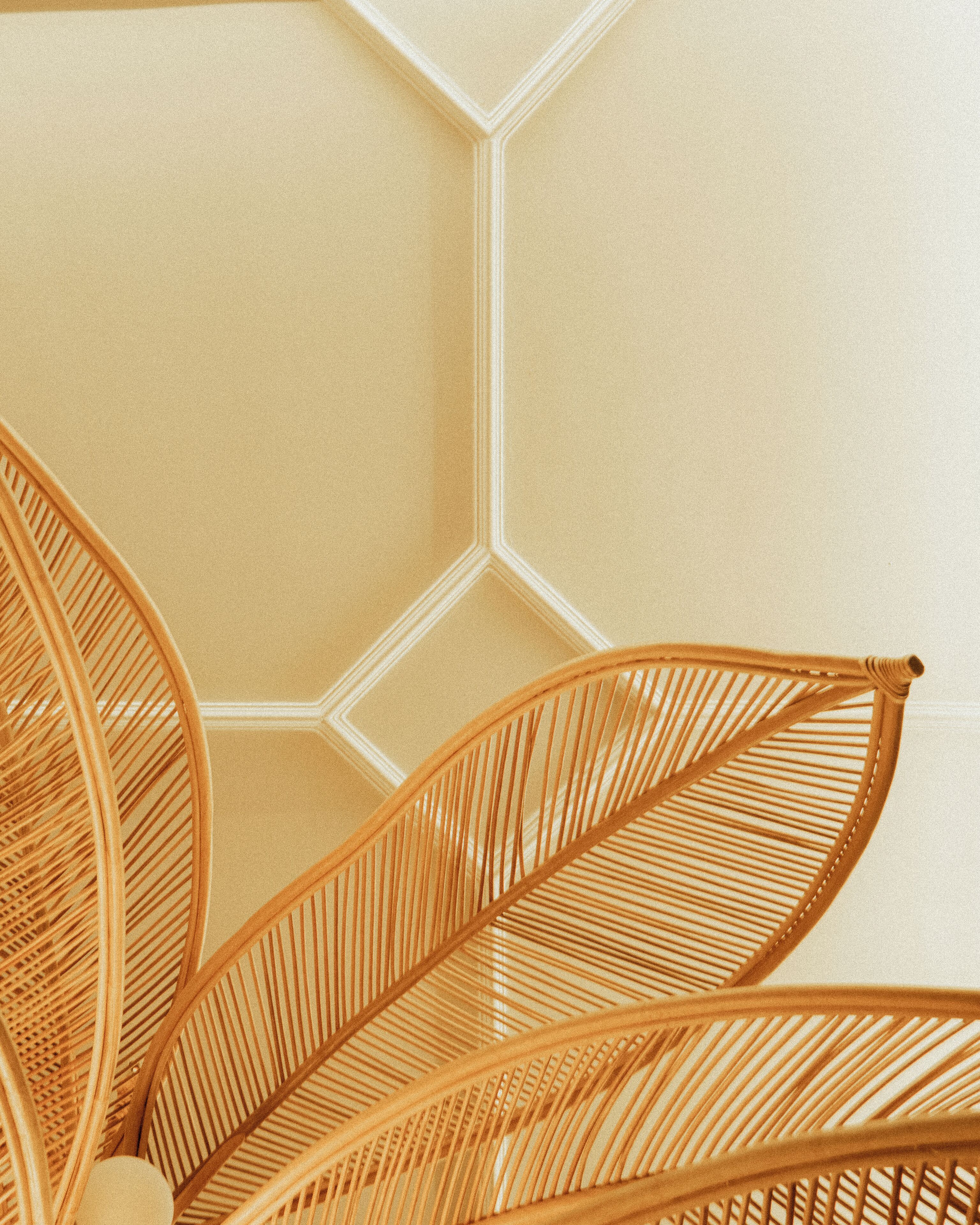 local and international cuisine