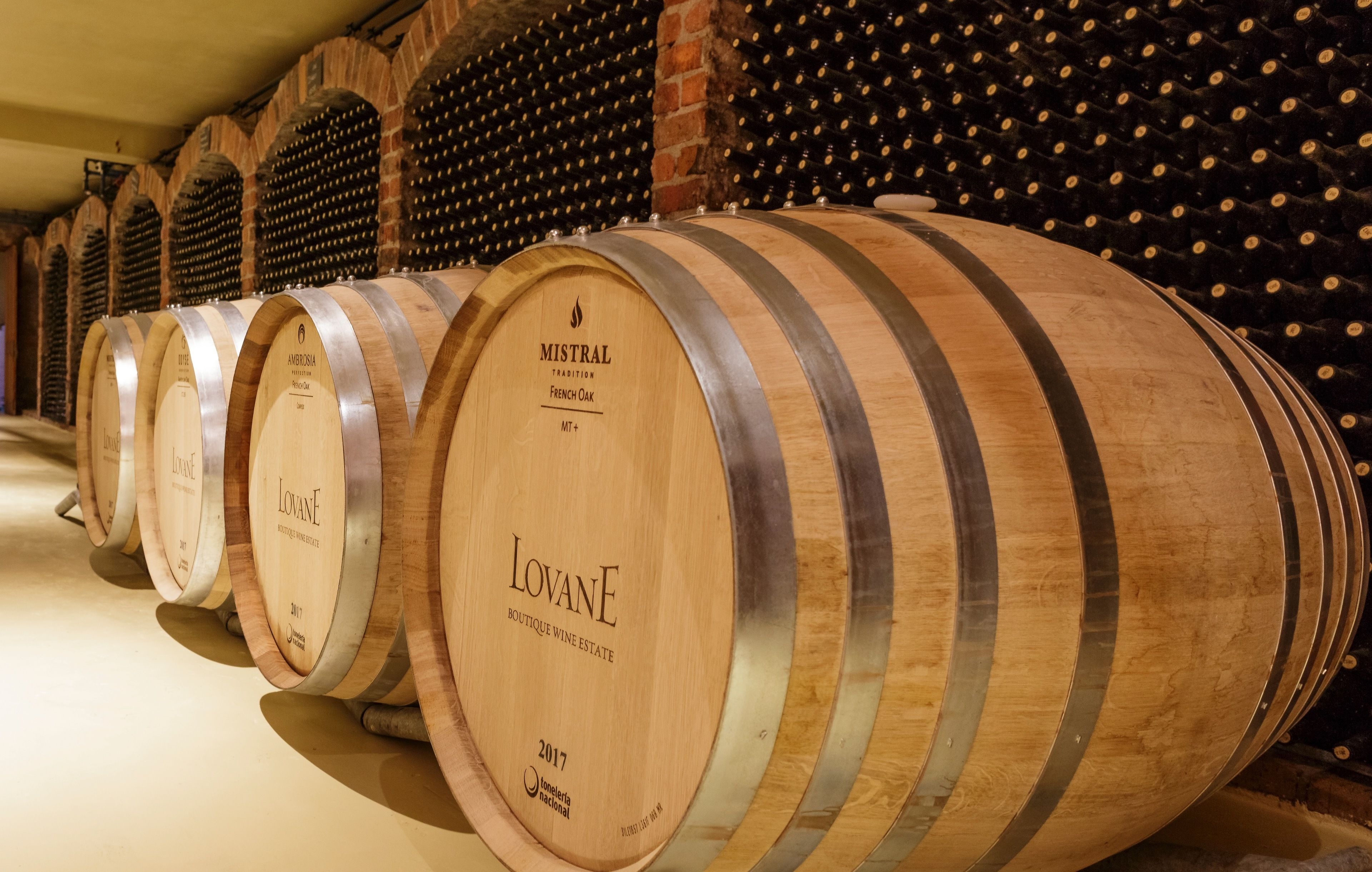 File di botti di legno in una cantina.