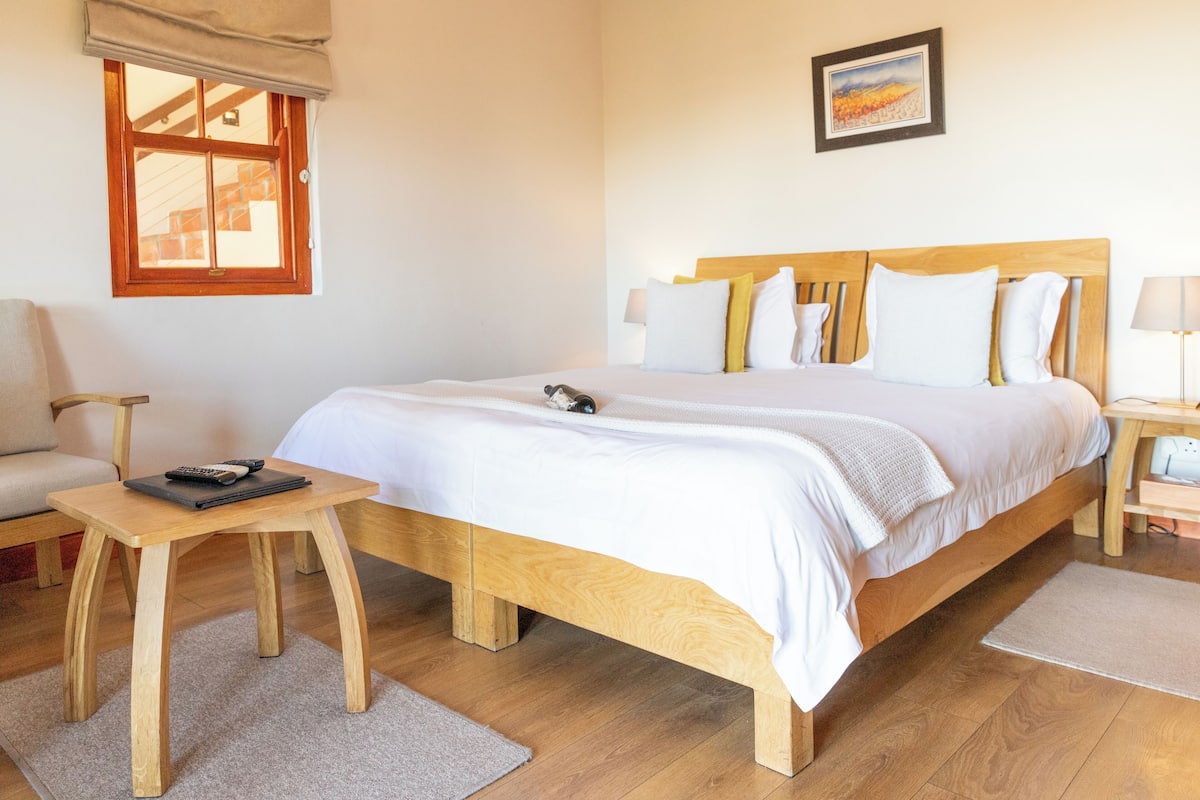 Classic-Doppel- oder -Zweibettzimmer, 1 Doppelbett oder 2 Einzelbetten, Blick auf den Weinberg | Minibar, Zimmersafe, schallisolierte Zimmer, Bügeleisen/Bügelbrett