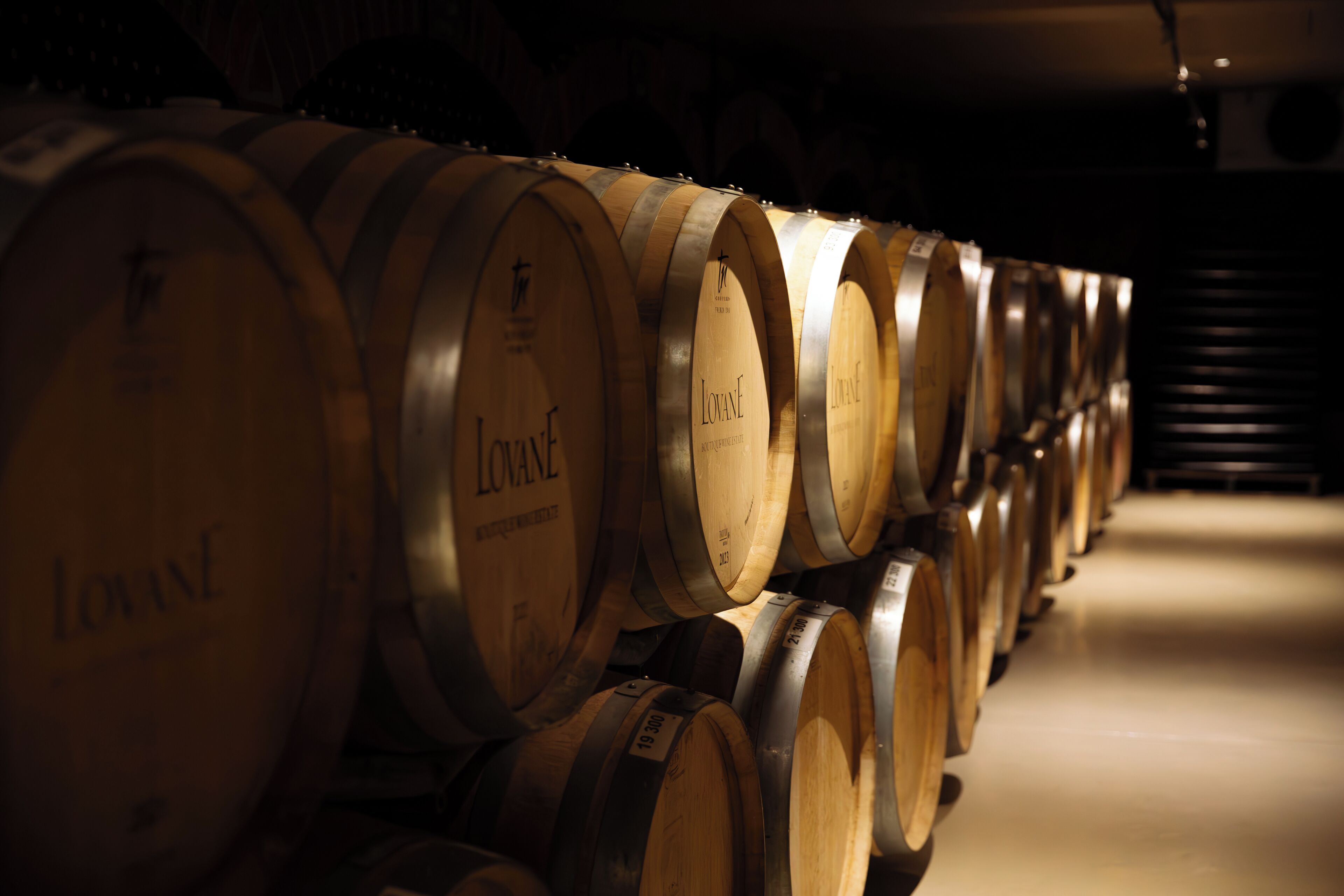 A row of wooden wine barrels with labels, arranged in a dimly lit room.
